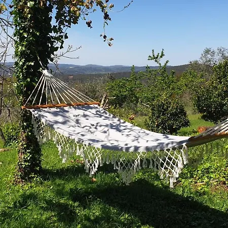 Casa Belavista - Charming - Adults Only Penela