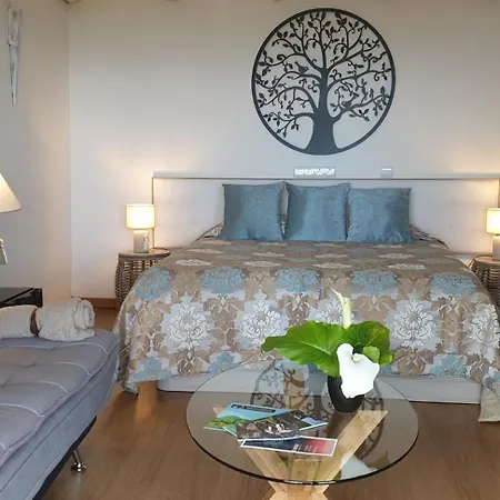 Casa Belavista - Charming - Adults Only Pensjonat Penela